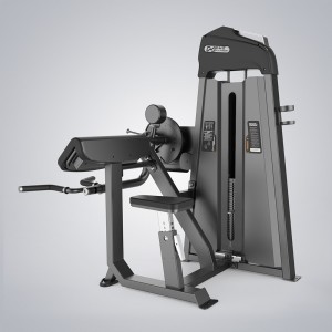 Camber Curl&Triceps E3087