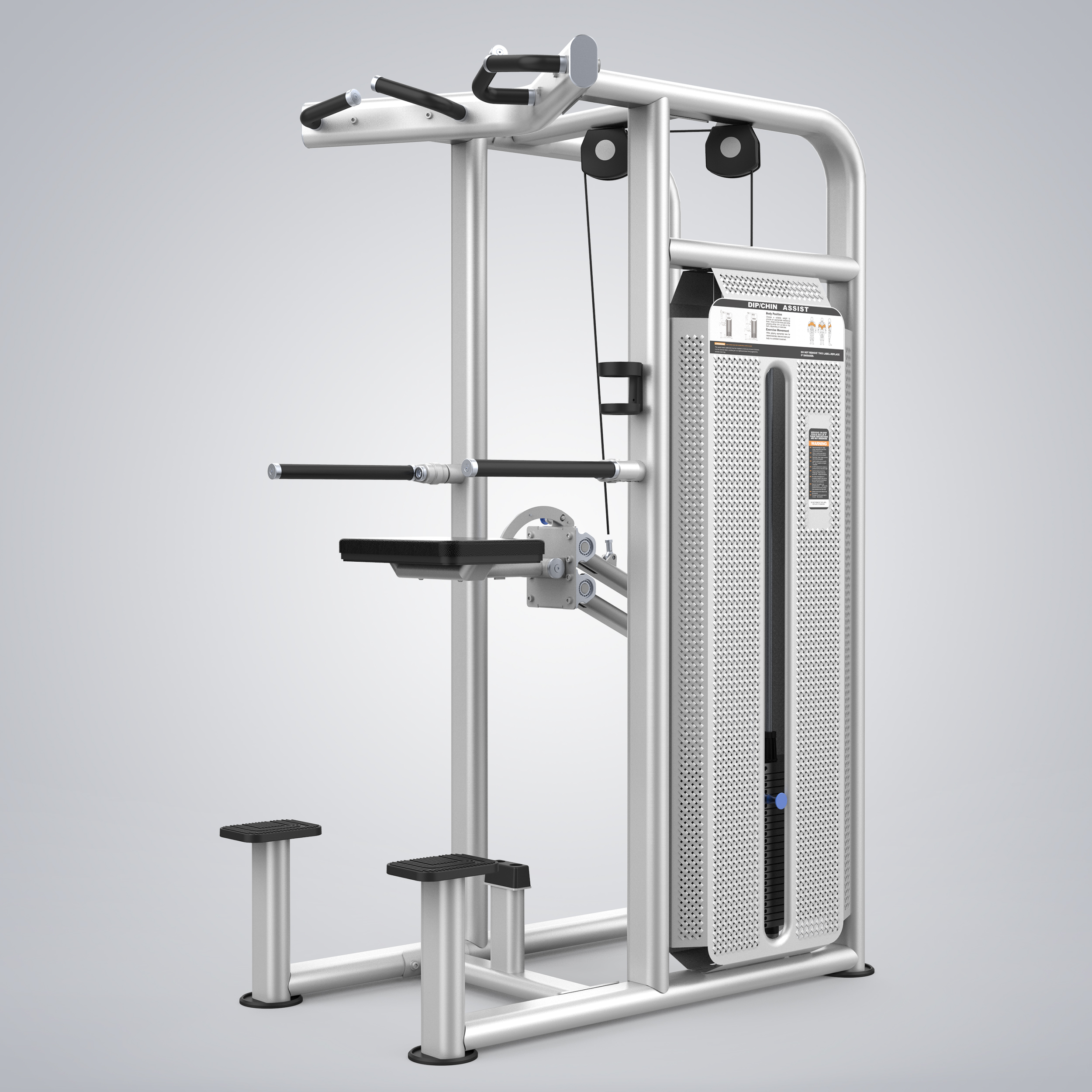 Dip Chin Assist U2009CBZ