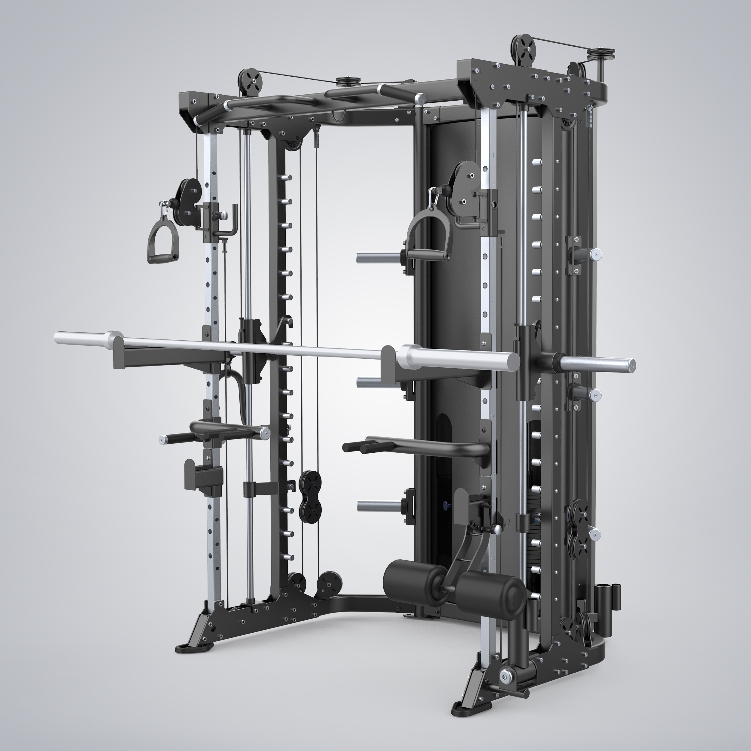 Functional Smith Machine E6247